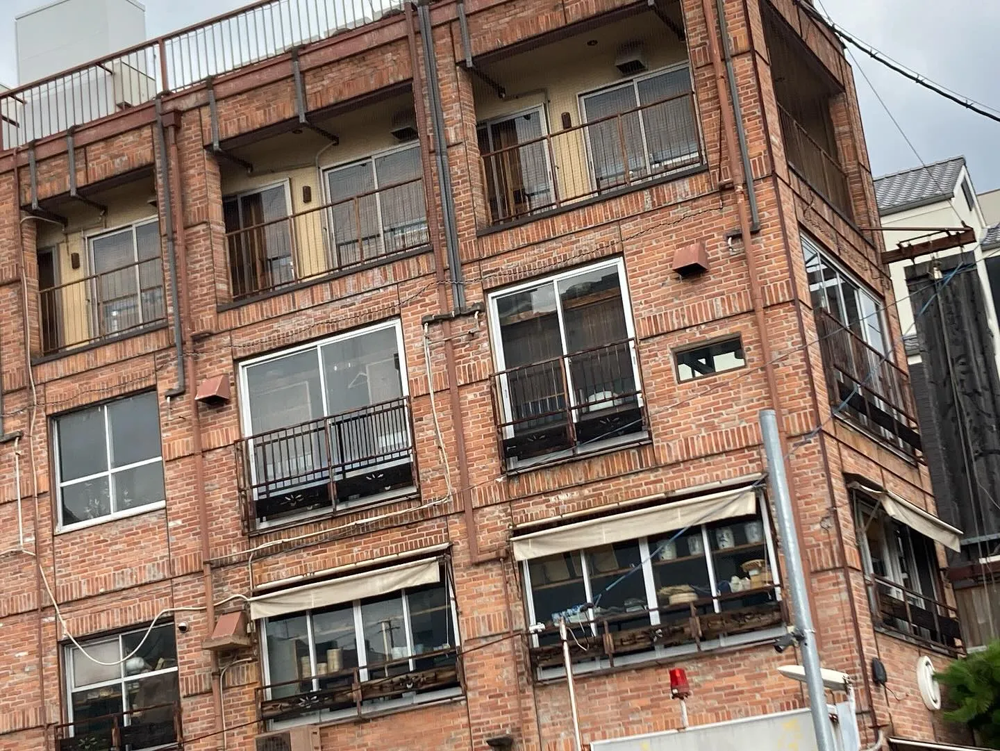 🦜ピニョンです🦜